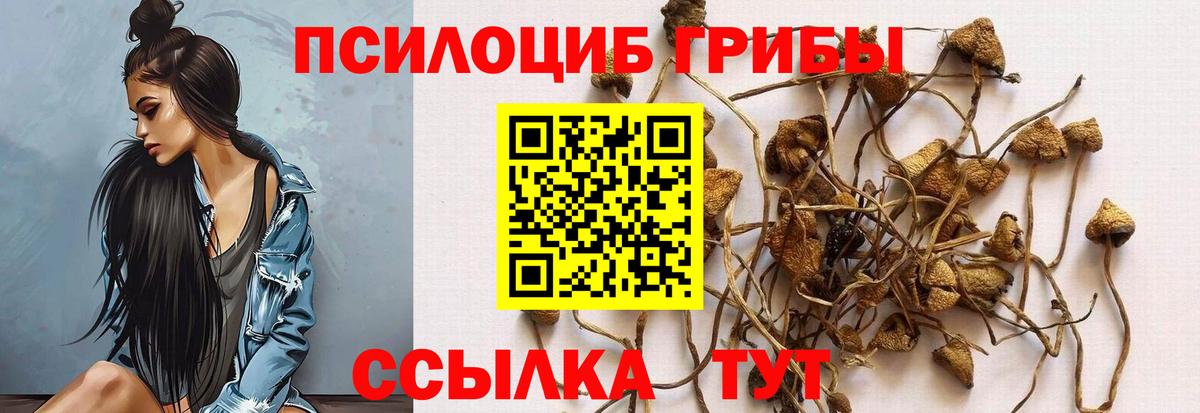 Отрадное  Галлюциногенные грибы MAGIC MUSHROOMS  Вход с VPN 